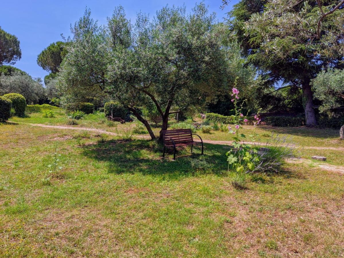 Apartment Rosa 1 Rovinj Dış mekan fotoğraf