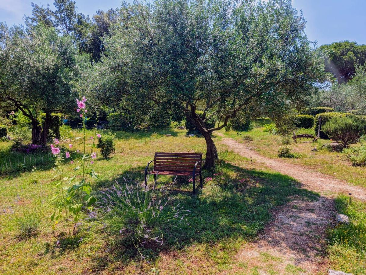 Apartment Rosa 1 Rovinj Dış mekan fotoğraf
