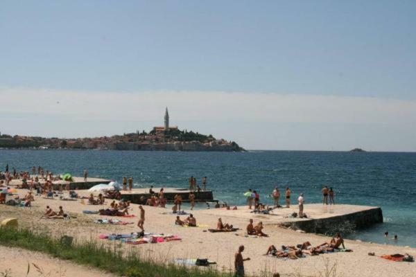 Apartment Rosa 1 Rovinj Dış mekan fotoğraf